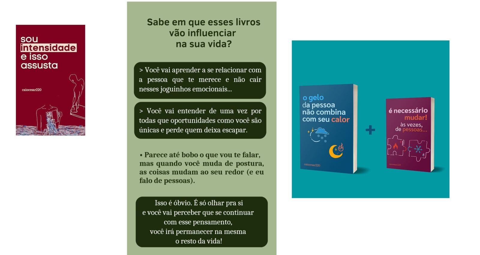 Caiocesar220 os melhores Livros: Gelo não combina - Sou Intensidade e Isso me assusta Curso diário - DIcas
