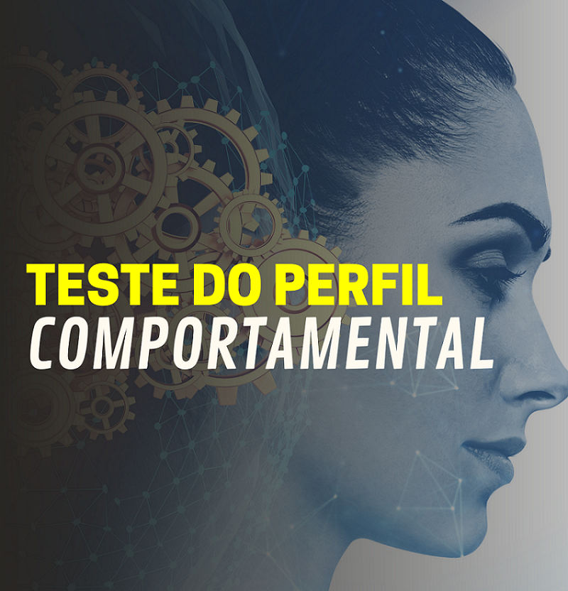 Teste do Perfil Comportamental 🧠 Silvânia Vilas Boas Curso diário - DIcas