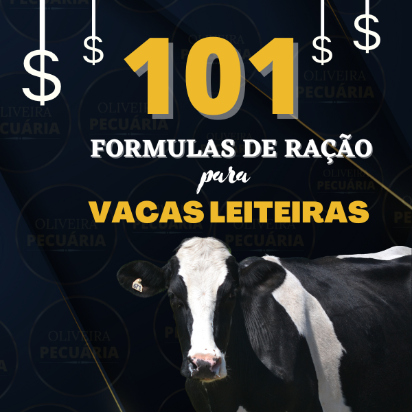 Qual é a fórmula de ração para vacas leiteiras mais econômica e eficiente para aumentar a produtividade do rebanho? Curso diário - DIcas